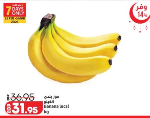 Banana available at Lulu Hypermarket  in Egypt - Cairo