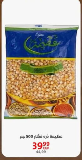 available at داون تاون العرب  in Egypt - القاهرة