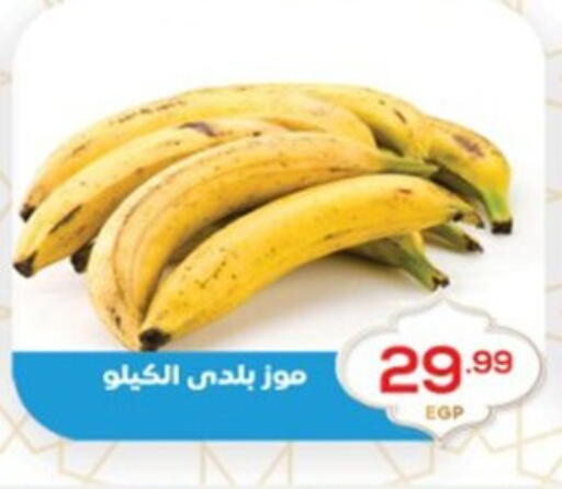 available at El mhallawy Sons in Egypt - Cairo