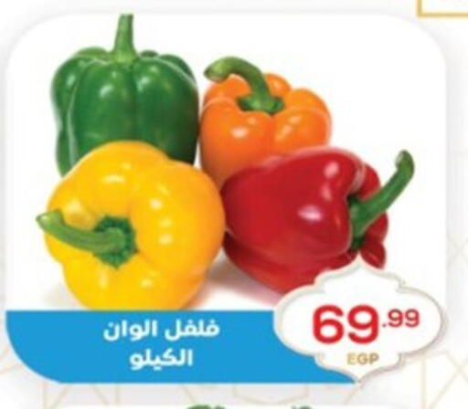 available at El mhallawy Sons in Egypt - Cairo