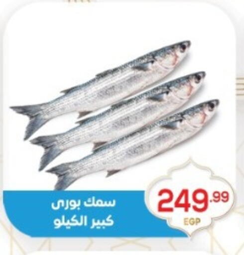 available at أولاد المحاوى in Egypt - القاهرة