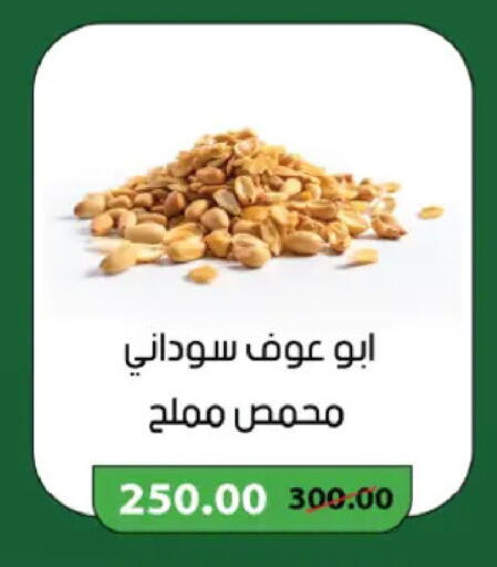 available at رويال هاوس in Egypt - القاهرة