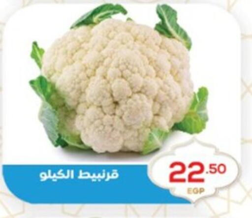 available at El mhallawy Sons in Egypt - Cairo