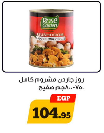 Mushroom available at أولاد رجب in Egypt - القاهرة