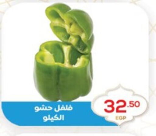 available at El mhallawy Sons in Egypt - Cairo