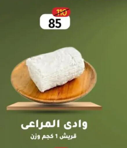 available at Wekalet Elmansoura - Dakahlia  in Egypt - Cairo