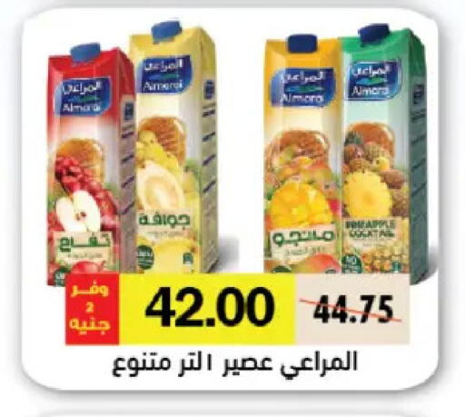 Pineapple available at رويال هاوس in Egypt - القاهرة