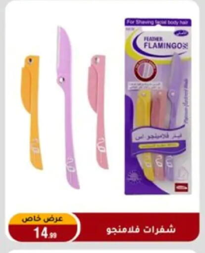 available at Al Morshedy  in Egypt - Cairo