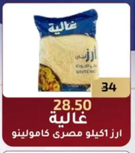 available at وكالة المنصورة - الدقهلية‎ in Egypt - القاهرة