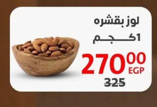 available at داون تاون العرب  in Egypt - القاهرة