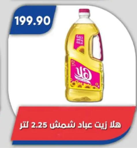 available at باسم ماركت in Egypt - القاهرة