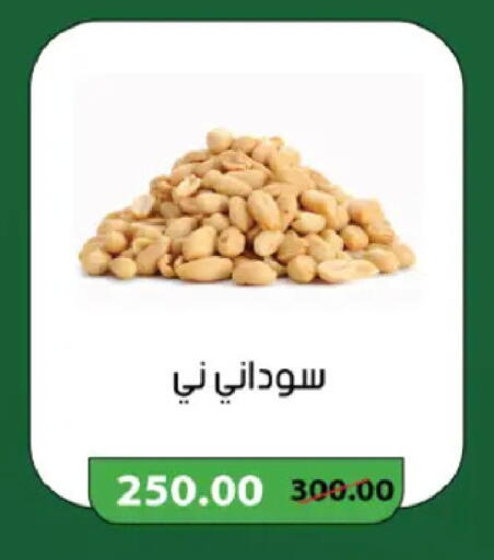 available at رويال هاوس in Egypt - القاهرة