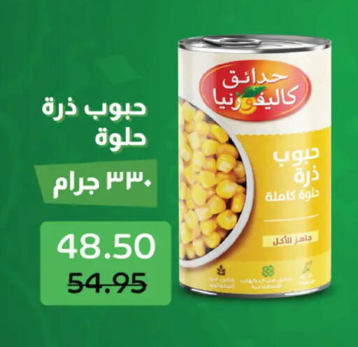 available at Royal House in Egypt - Cairo