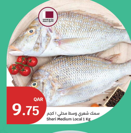 available at سيتي هايبرماركت in قطر - أم صلال