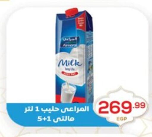 available at El mhallawy Sons in Egypt - Cairo