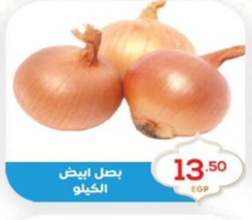 available at El mhallawy Sons in Egypt - Cairo