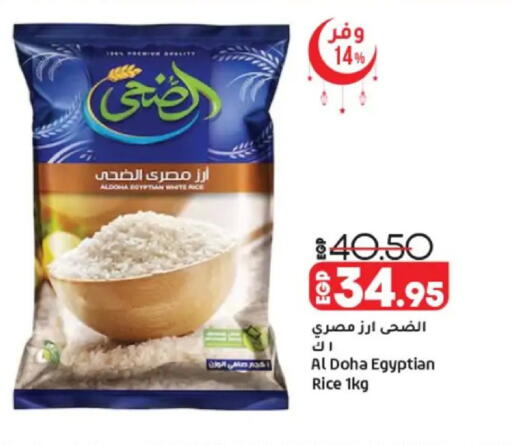 available at لولو هايبرماركت in Egypt - القاهرة