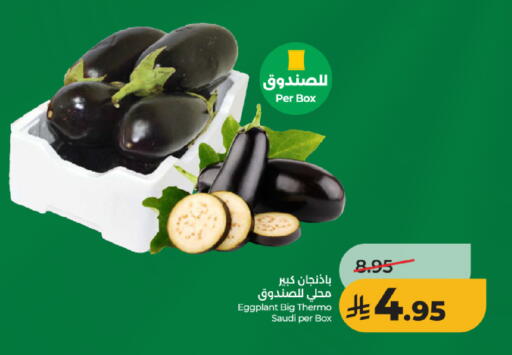 Eggplant from Saudi Arabia available at لولو هايبرماركت in مملكة العربية السعودية, السعودية, سعودية - الرياض