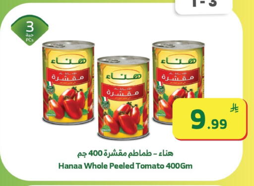 Tomato available at Al Raya in KSA, Saudi Arabia, Saudi - Abha
