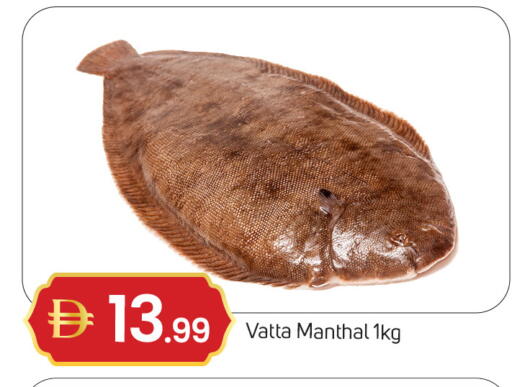 available at سوق طلال in الإمارات العربية المتحدة , الامارات - دبي