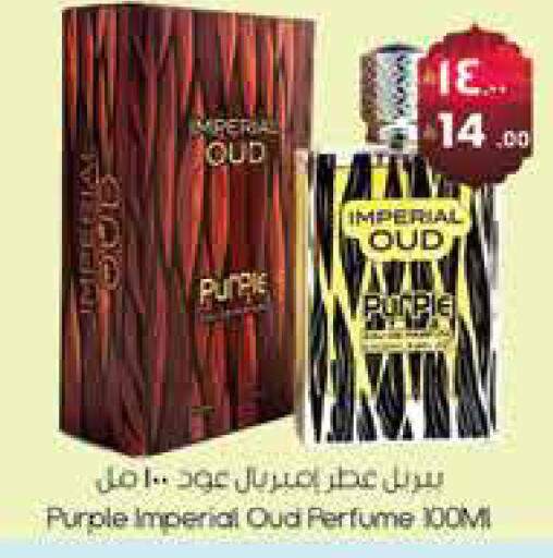 available at ستي فلاور in مملكة العربية السعودية, السعودية, سعودية - الجبيل‎