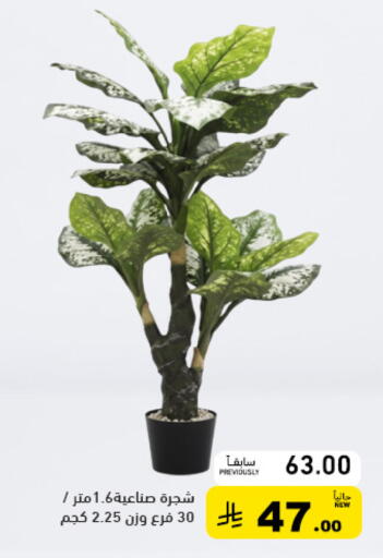 available at Aswaq Ramez in KSA, Saudi Arabia, Saudi - Qatif