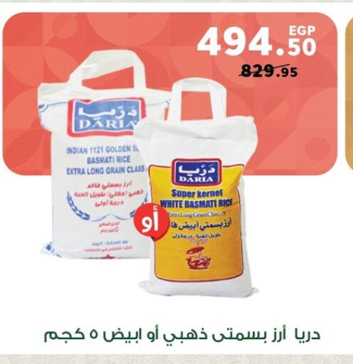 available at بنده in Egypt - القاهرة