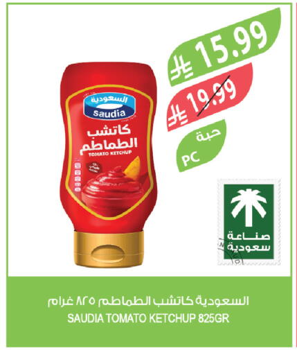 Tomato available at Farm  in KSA, Saudi Arabia, Saudi - Al Hasa