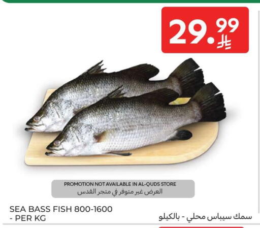 available at كارفور in مملكة العربية السعودية, السعودية, سعودية - الرياض