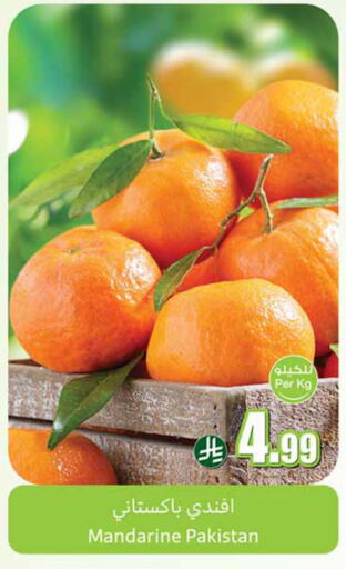 from Pakistan available at Othaim Markets in KSA, Saudi Arabia, Saudi - Bishah