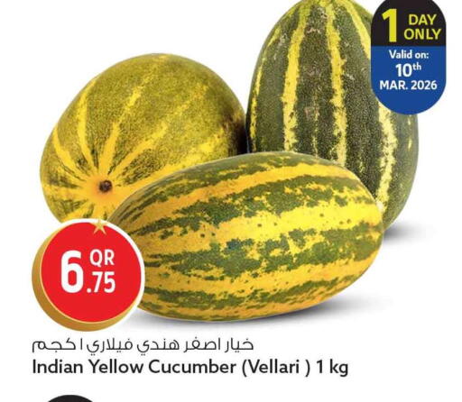 Cucumber from India available at سفاري هايبر ماركت in قطر - الخور