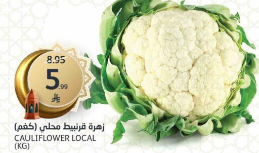 Cauliflower available at مركز الجزيرة للتسوق in مملكة العربية السعودية, السعودية, سعودية - الرياض