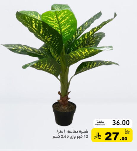 available at Aswaq Ramez in KSA, Saudi Arabia, Saudi - Qatif