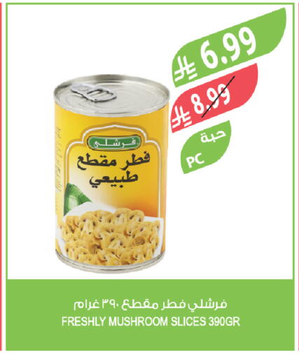 Mushroom available at Farm  in KSA, Saudi Arabia, Saudi - Sakaka