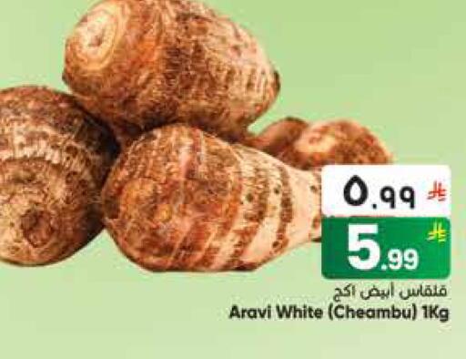 available at City Flower in KSA, Saudi Arabia, Saudi - Sakaka