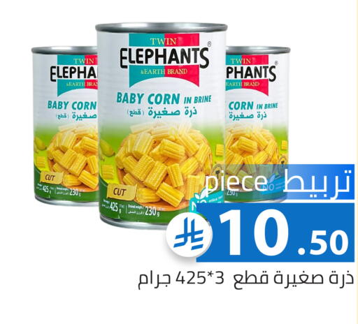 available at Family Discount in KSA, Saudi Arabia, Saudi - Riyadh