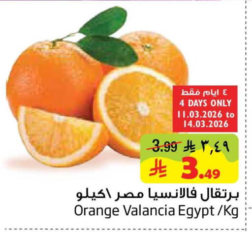 Orange from Valancia Egypt available at Layan Hyper in KSA, Saudi Arabia, Saudi - Dammam