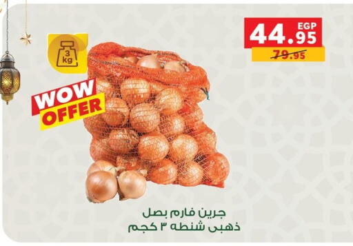 available at Panda  in Egypt - Cairo