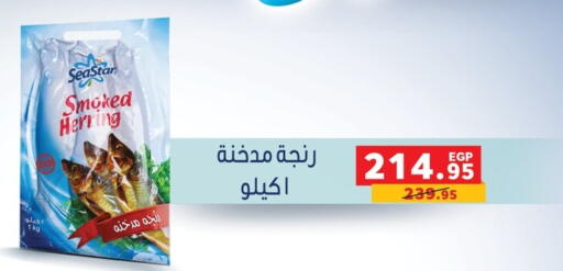 available at بنده in Egypt - القاهرة