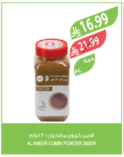 Cumin available at Farm  in KSA, Saudi Arabia, Saudi - Jazan
