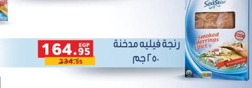 available at بنده in Egypt - القاهرة