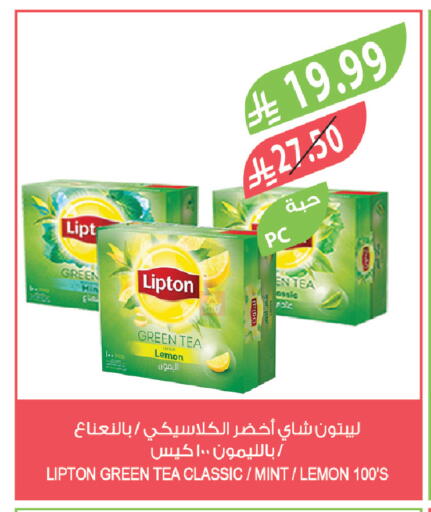 Lemon Mint available at المزرعة in مملكة العربية السعودية, السعودية, سعودية - عرعر