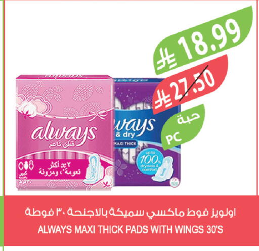 available at Farm  in KSA, Saudi Arabia, Saudi - Khafji