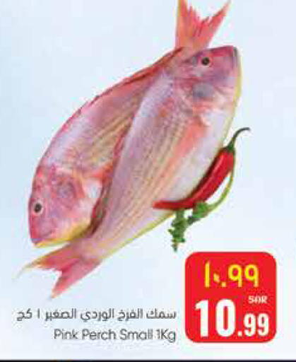 available at ستي فلاور in مملكة العربية السعودية, السعودية, سعودية - الرياض