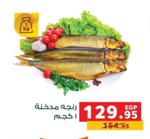 available at بنده in Egypt - القاهرة