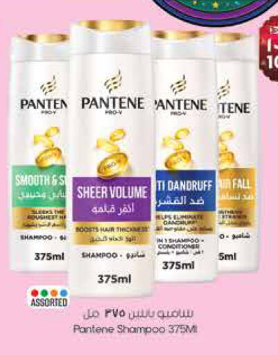 available at ستي فلاور in مملكة العربية السعودية, السعودية, سعودية - نجران