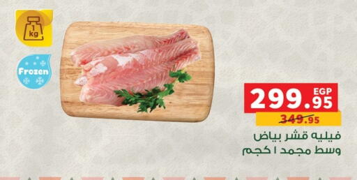 available at بنده in Egypt - القاهرة