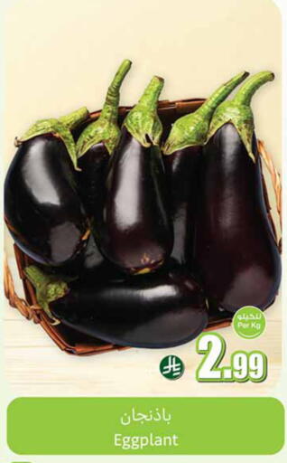 Eggplant available at أسواق عبد الله العثيم in مملكة العربية السعودية, السعودية, سعودية - سكاكا
