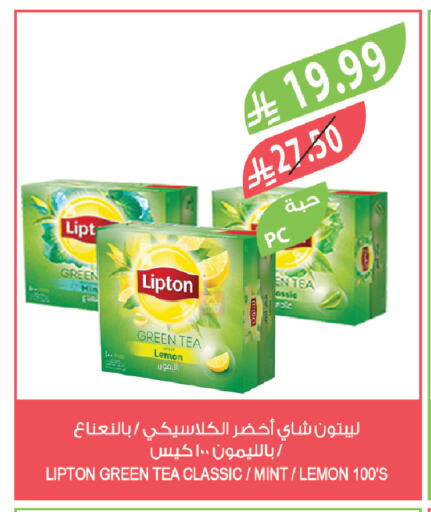 Lemon Mint available at Farm  in KSA, Saudi Arabia, Saudi - Yanbu