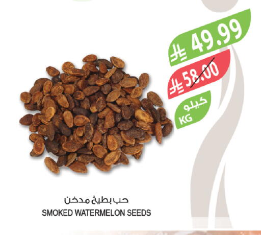 Watermelon available at المزرعة in مملكة العربية السعودية, السعودية, سعودية - جازان